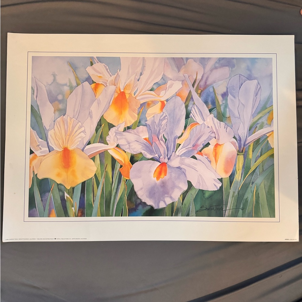 Vibrant Iris Watercolor Art Print